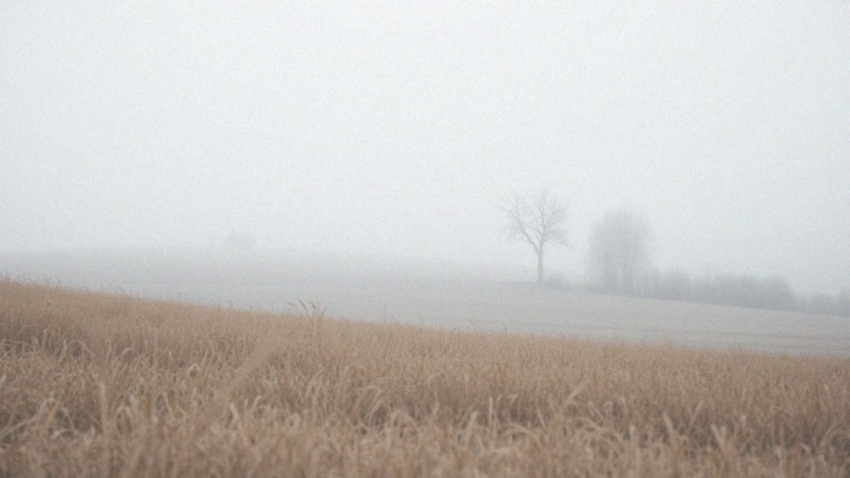 Jakie są skutki zmiany długości dnia i nocy w trakcie obiegu Ziemi?