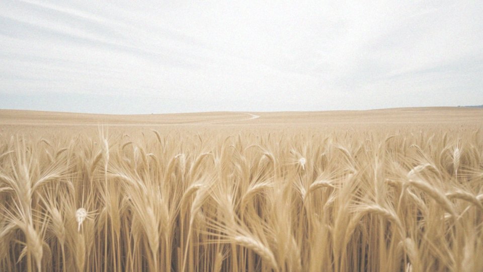 Co to jest efekt Coriolisa i jak jest związany z ruchem obrotowym Ziemi?
