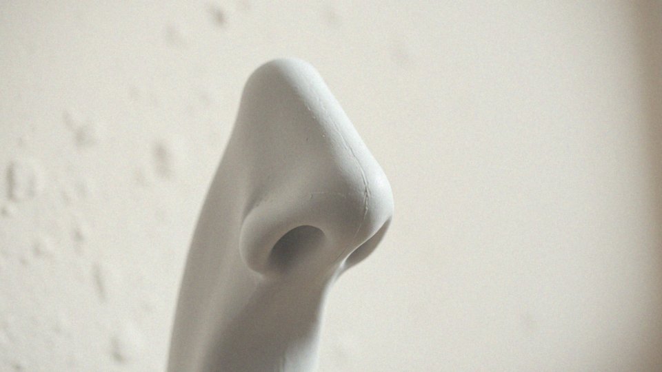 Jak profil nosa wpływa na skrzydełka nosa?