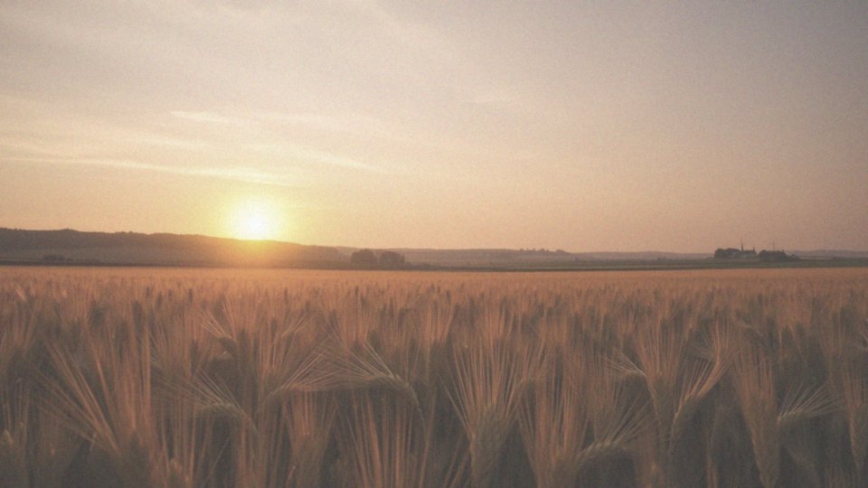 Jak kąt padania promieni słonecznych zmienia się w wyniku ruchu obiegowego Ziemi?